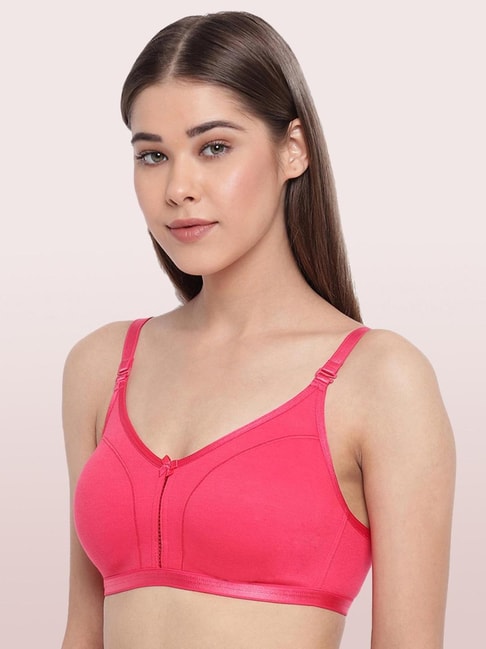 teaberry enamor classic bra